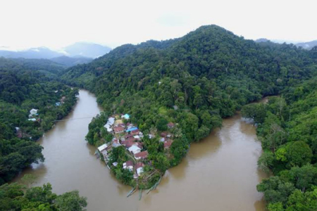 Taman Nasional Betung Kerihun, Surga Hayati di Tapal Perbatasan