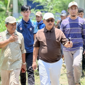 Dinas TPHP Sulbar Catat 1.928 Kelahiran Sapi dari Program IB