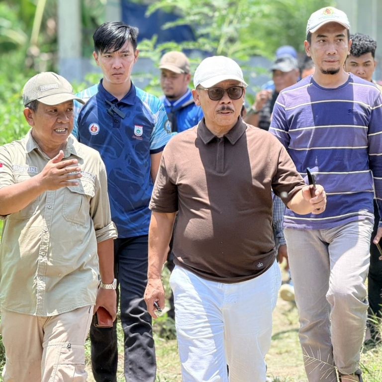 Dinas TPHP Sulbar Catat 1.928 Kelahiran Sapi dari Program IB